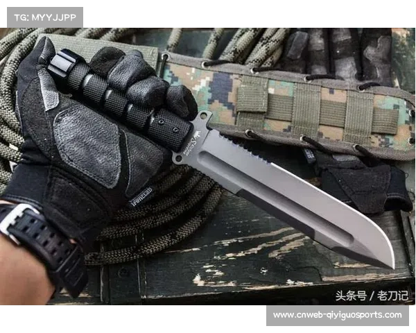 德米安玛雅助力阿尔梅达强化地面技战术提升综合格斗实力